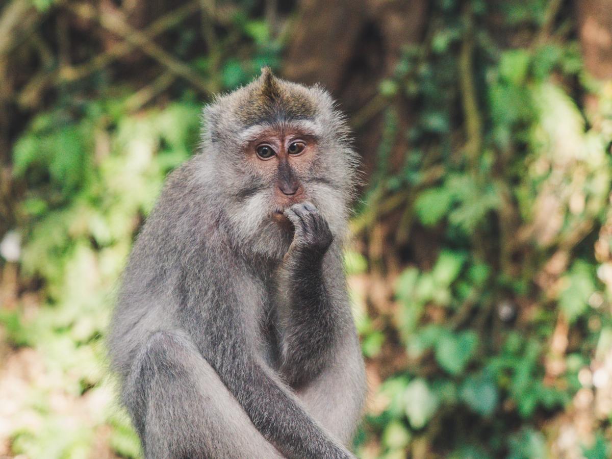 Not So Cheeky&nbsp;Lately